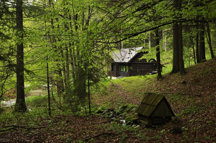 Lovecká chatka ve Vrátné,kolem jen divočina